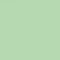 Vert blanc (RAL 6019)