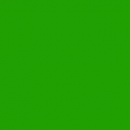 Vert jaune (RAL 6018)