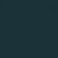 Gris anthracite (7016)